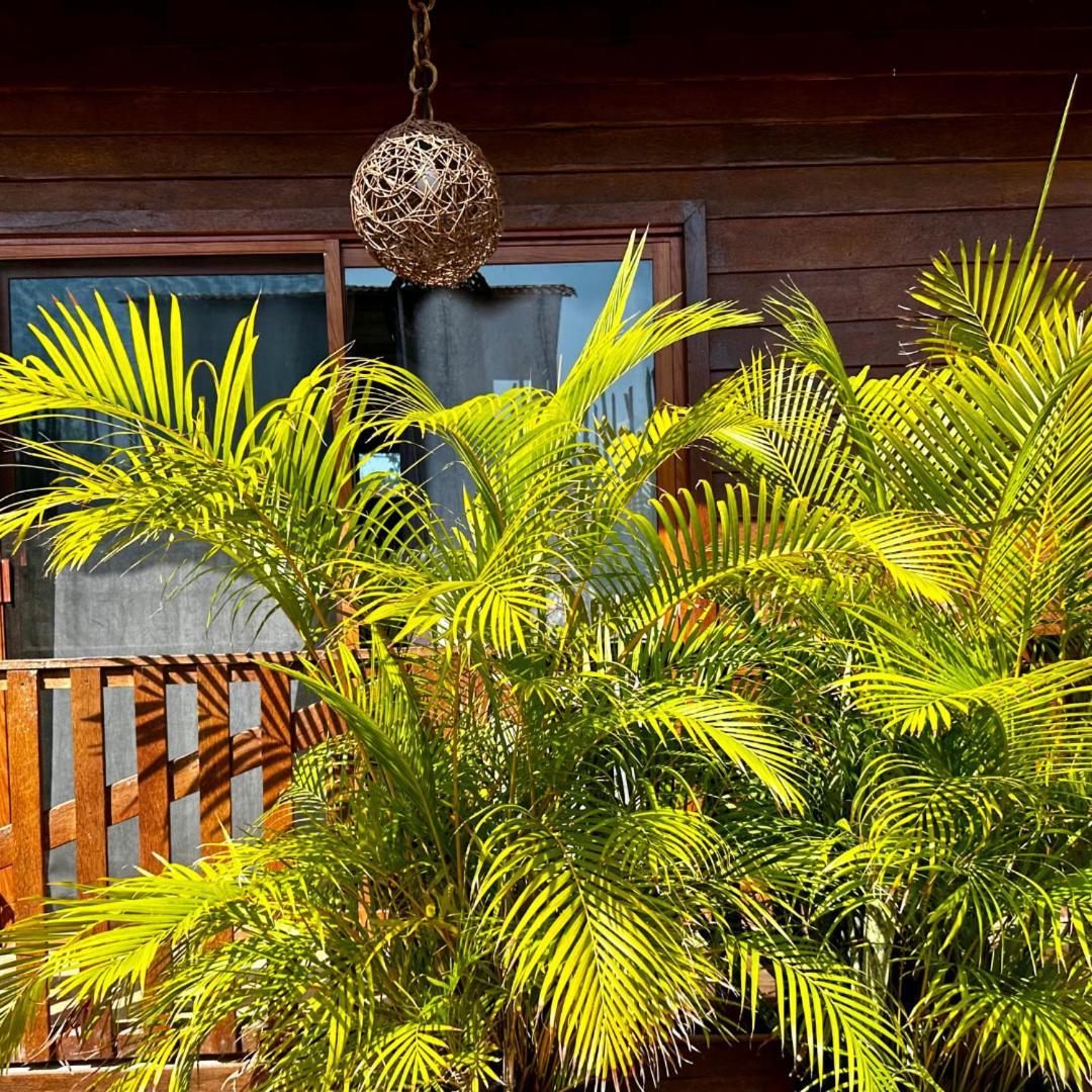 Ecoco Holbox - Ecochic - Cabanas De Madera - Holbox Retreat ภายนอก รูปภาพ